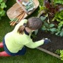 manuales jardineria y huerto organico