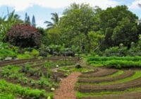 libros gratis huerta organica permacultura