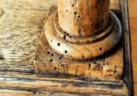 carcoma muebles de madera