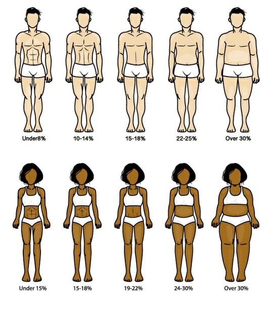 porcentaje grasa corporal hombres y mujeres
