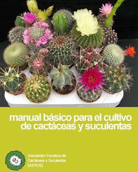 manual cuidado cactus y suculentas en pdf